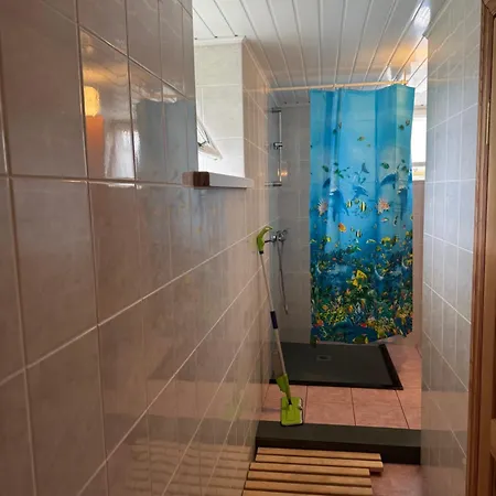 V36 Zemutine Studija 3* Palanga