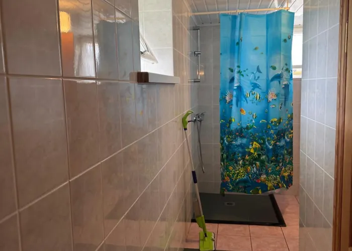 V36 Zemutine Studija 3* פלאנגה