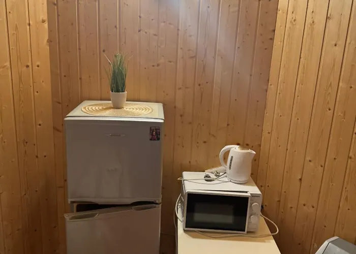 בית הארחה V36 Zemutine Studija 3*